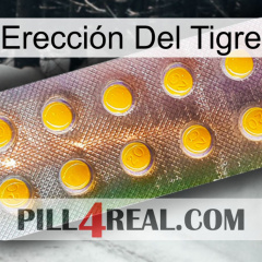 Erección Del Tigre new11